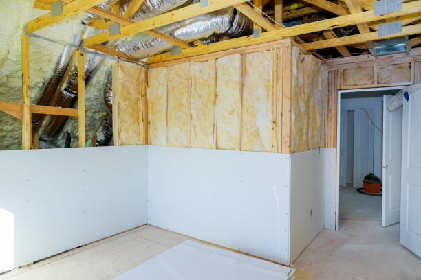 Best Cellulose Insulation  in Pikeville, TN