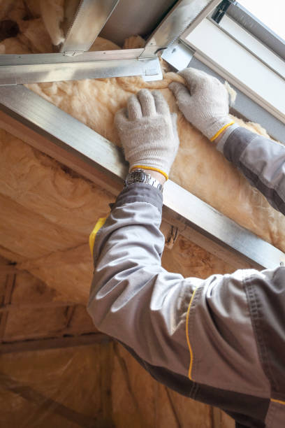 Best Insulation Contractors for Homes  in Pikeville, TN